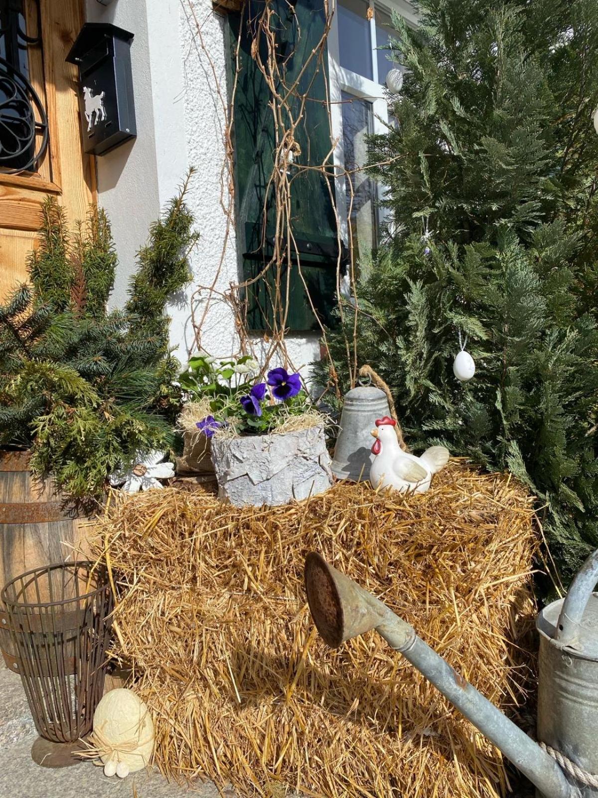 Apartamenty Sudeckie Nad Zalewem I Sosnowka  Luaran gambar